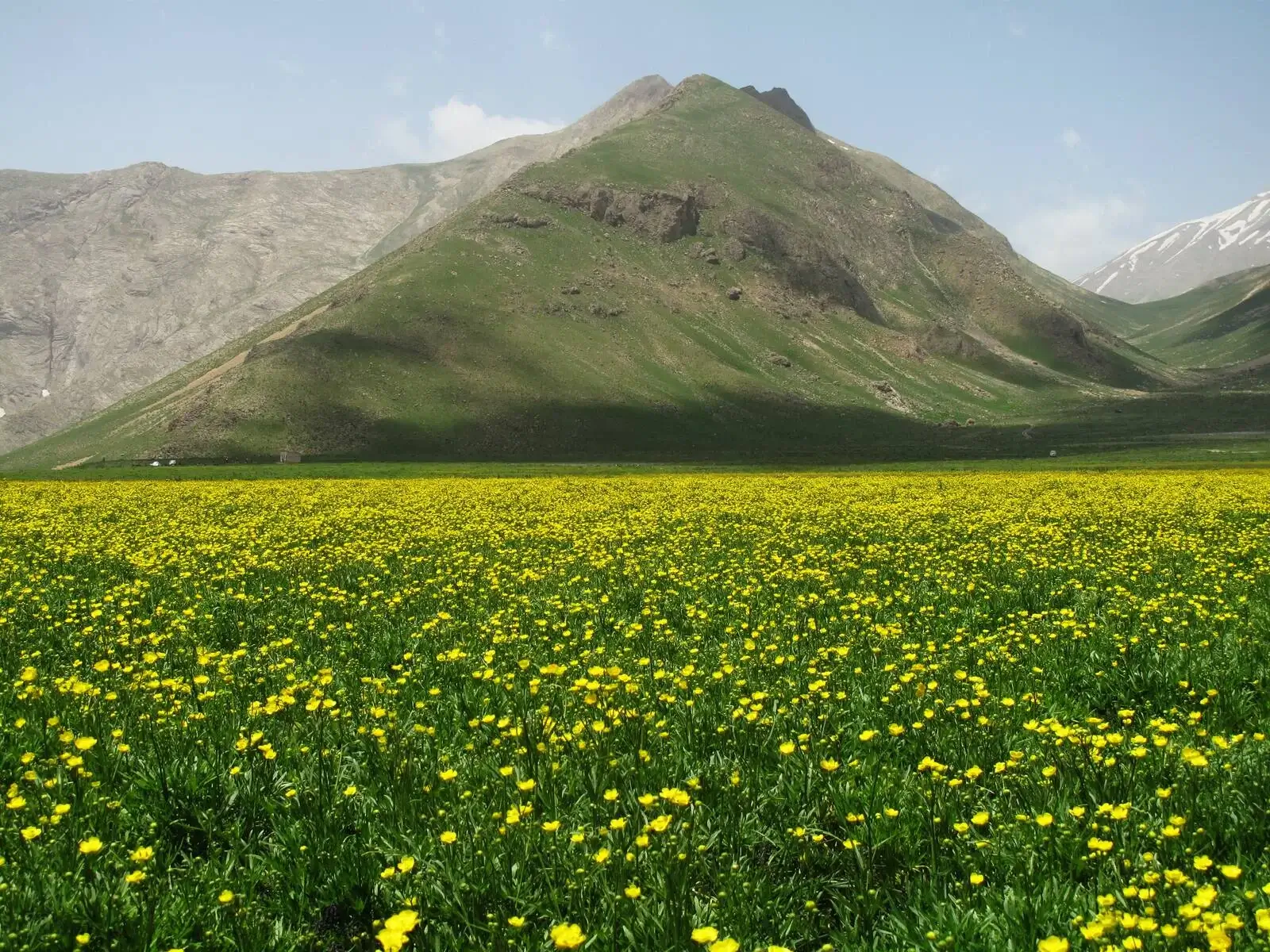 پارک ملی لار