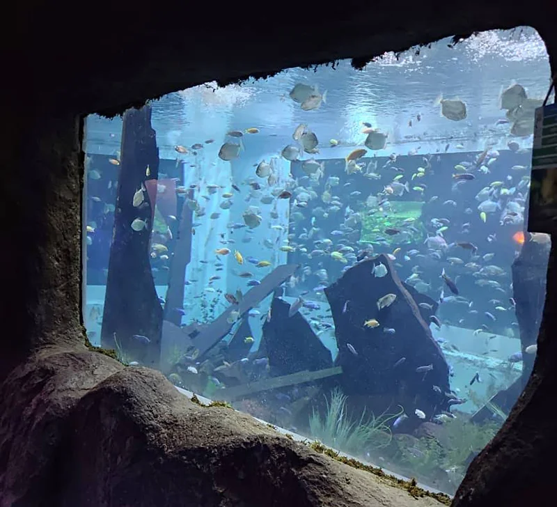 غار آکواریوم همدان کجاست؟