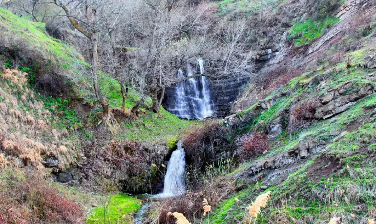 اقامت در نزدیکی دشت