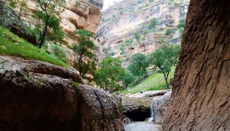 پل خدا دره شیرز؛ مغز پسته