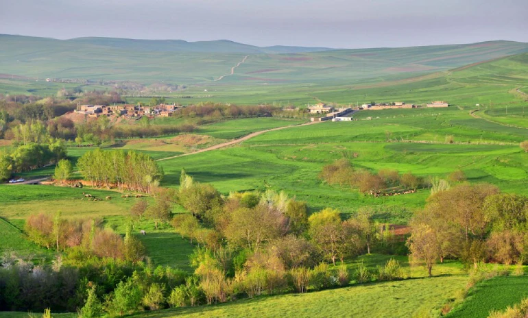 – جنگل‌های مغان