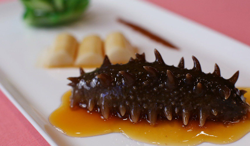 خوراک خیار دریایی