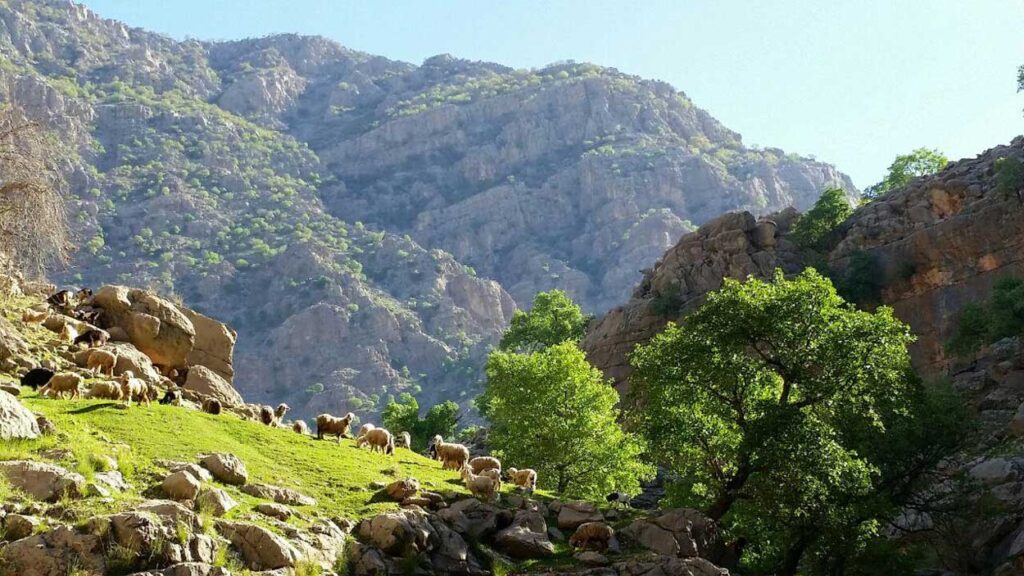 دشت شیمبار خوزستان؛ دشتی به شیرینی بهار