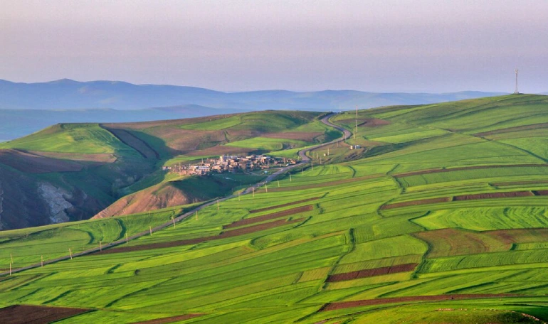 – جلگه‌ای