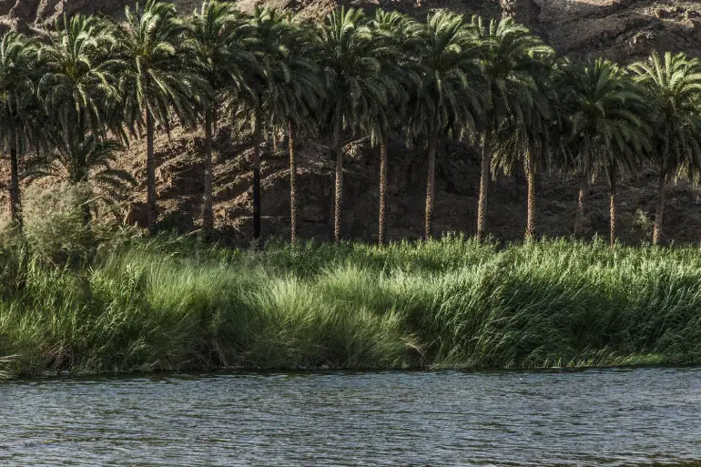 – رودخانه دامن
